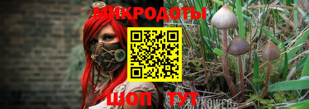 Псилоцибиновые грибы Cubensis  Вход с VPN  купить закладку  Мелеуз 
