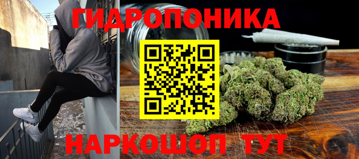 Конопля планчик Мелеуз